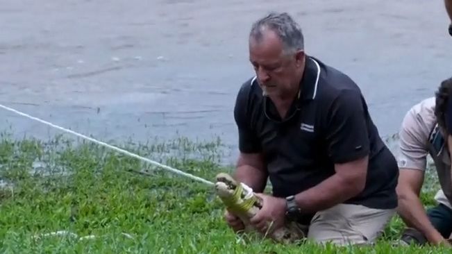 Video: Letiště pod vodou, krokodýli v ulicích. Queensland zasáhly ničivé povodně